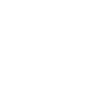 Microscope icon
